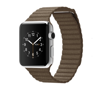 The Watch with Stainless Steel Case and Brown Leather Loop